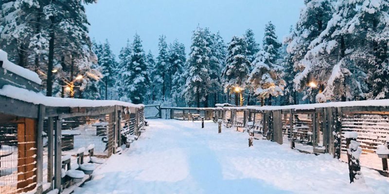 In oktober en november valt de eerste sneeuw in Lapland