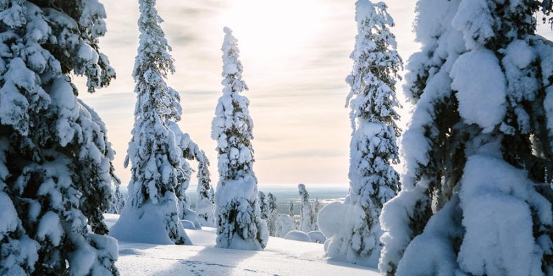 Landschap tijdens een wintervakantie in Finland