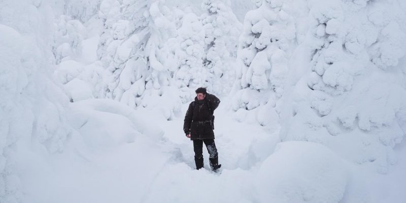 Naar Lapland in januari