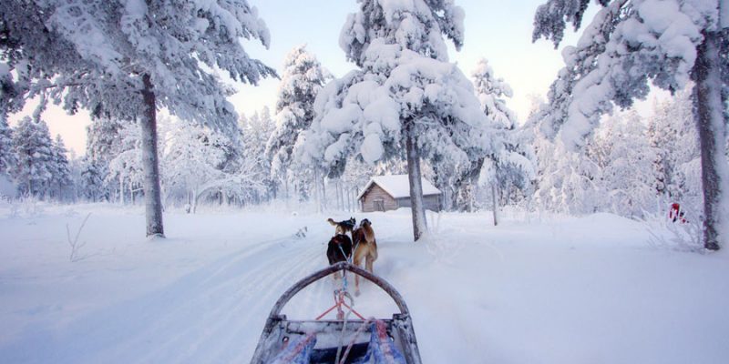 Meerdaagse huskytocht in Lapland