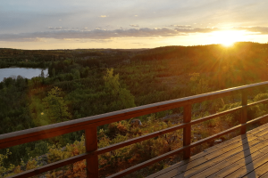 Vanaf je vakantiehuisje in Zweden geniet je van een prachtig uitzicht over de bossen