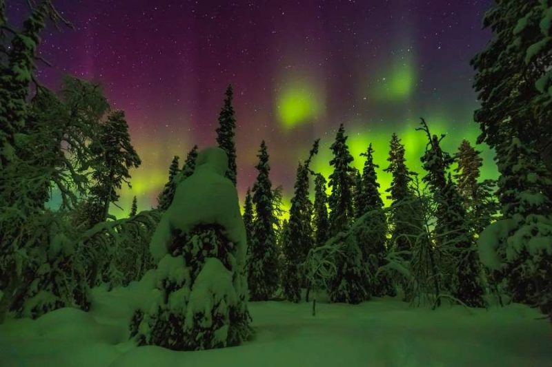 Genieten van het noorderlicht in Lapland met Nordic
