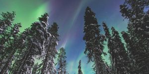 Reis naar Lapland noorderlicht met Nordic Nederland