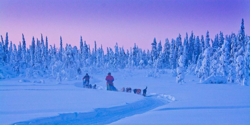 huskytocht-door-de-wildernis-van-lapland