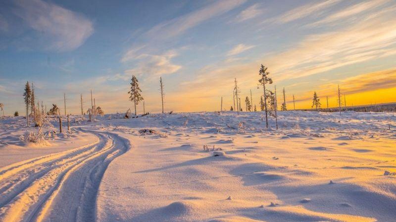 prachtig uitzicht tijdens huskytocht op vakantie in Zweeds Lapland