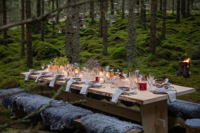 Diner tafel middenin de natuur Zweden