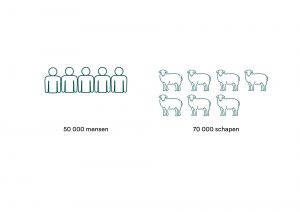 Infographic Faeröer inwoners en schapen