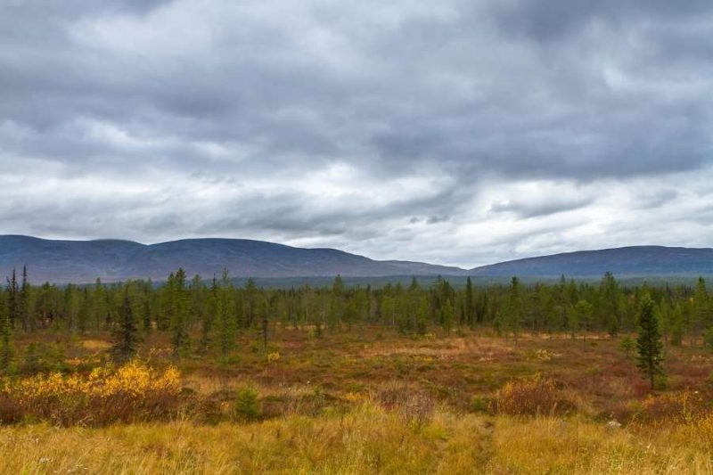 Pallas-Yllas-nationaal-park-lapland-reizen-met-Nordic