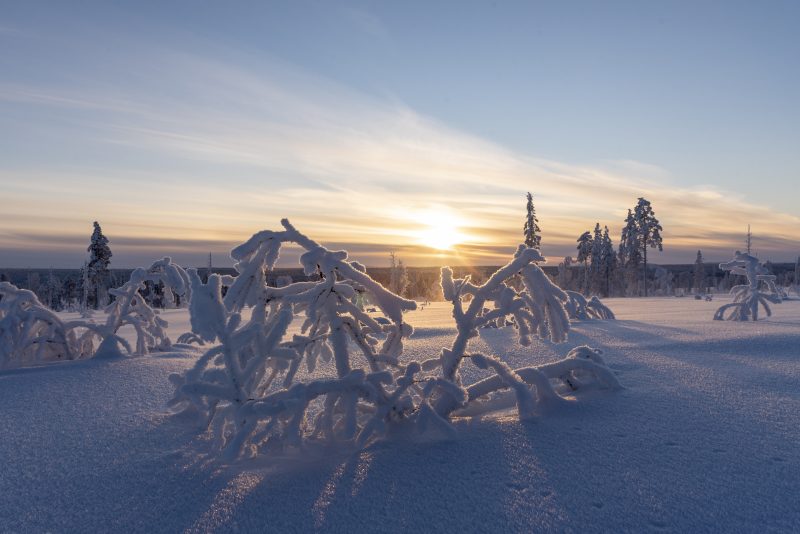 Winters Lapland met Nordic - ©Henk Dujardin