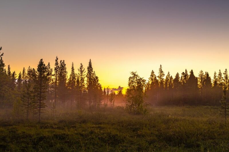 Adembenemend landschap tijdens een wandeling in Lapland - Nordic