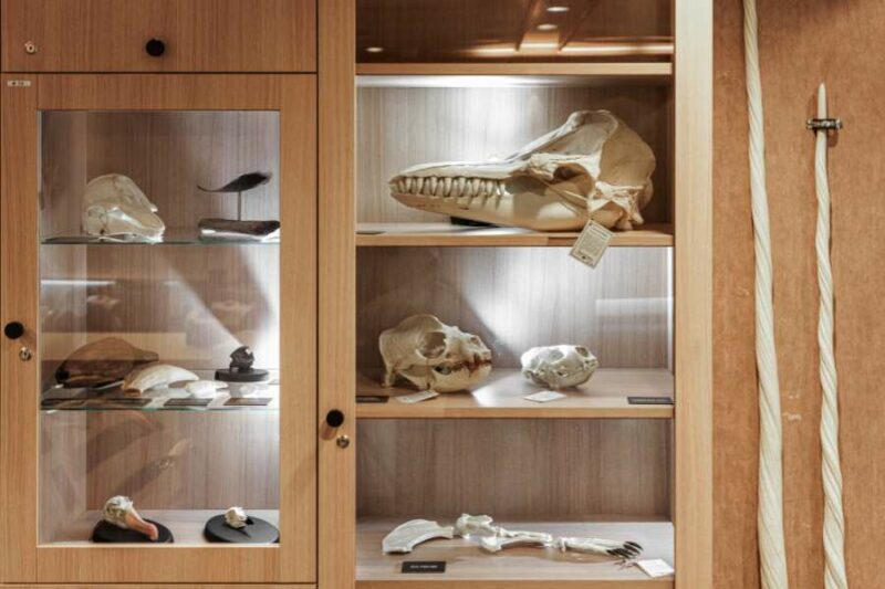 Science center aan boord van het schip MS Fram