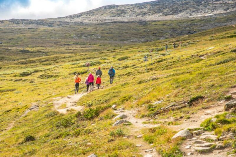 Wandelen in Lapland in de zomer met Nordic