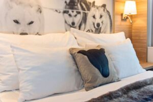 Kussens Arctic Superior MS Nordnorge