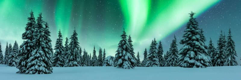 Het noorderlicht boven besneeuwde dennenbomen in een wit landschap.
