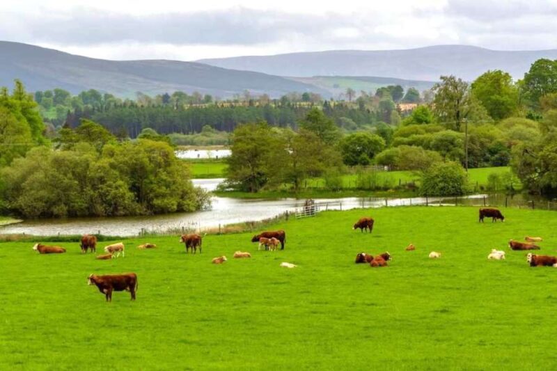 Landgoed-Russborough-House-in-ierland