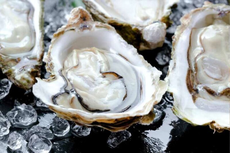 Oesters Schotland