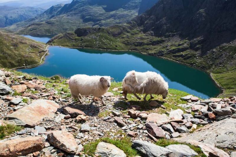 Snowdonia-National-Park-in-Wales-met-Nordic