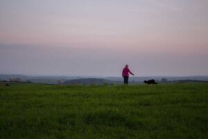 Walking-with-dog-wales