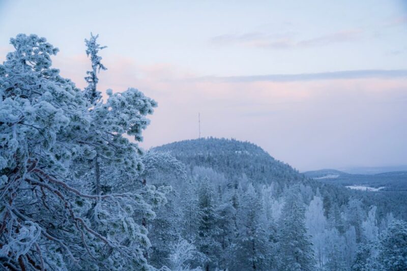 Uitzicht over besneeuwde heuvels en bossen vanuit de Kaamos Lodge