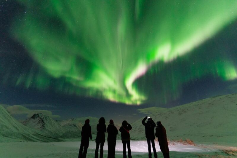 Een groep reizigers bewondert samen het noorderlicht in winters Lapland tijdens een groepsreis met Nordic.